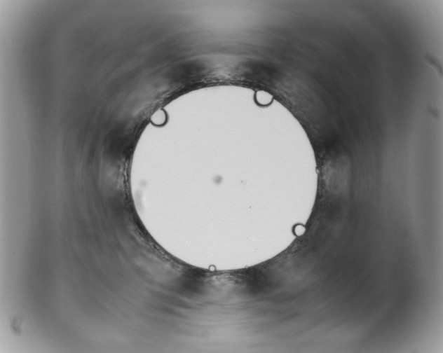 X0000102840423200808181029