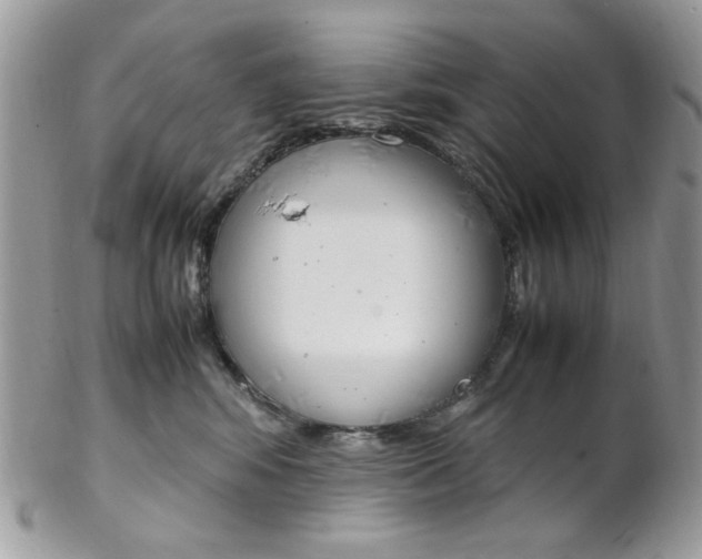 X0000102840424200808181029