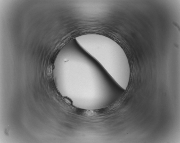 X0000102840425200808181029