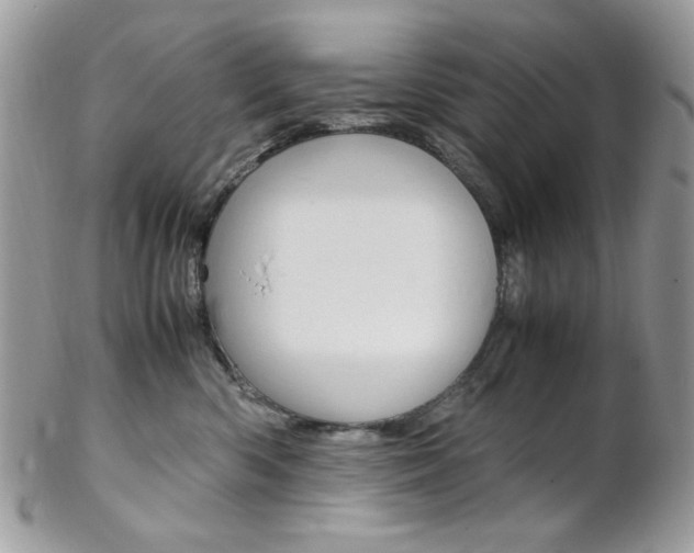 X0000102840426200808181029