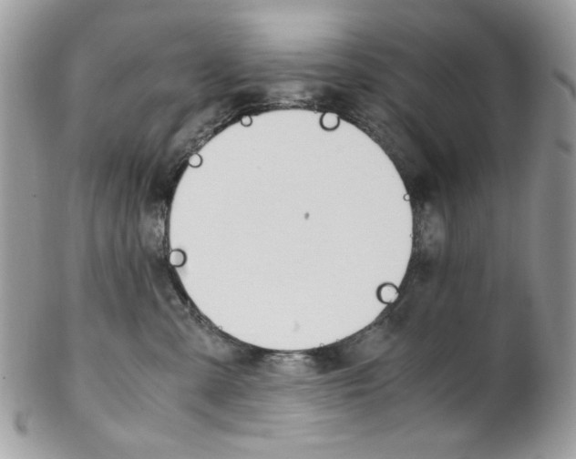 X0000102840427200808181029