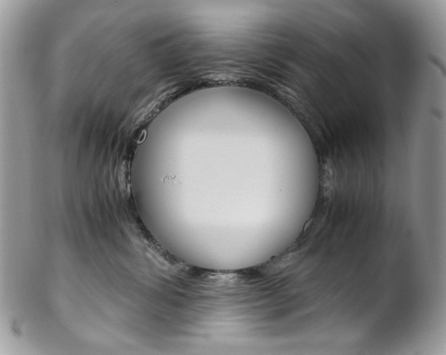 X0000102840428200808181029