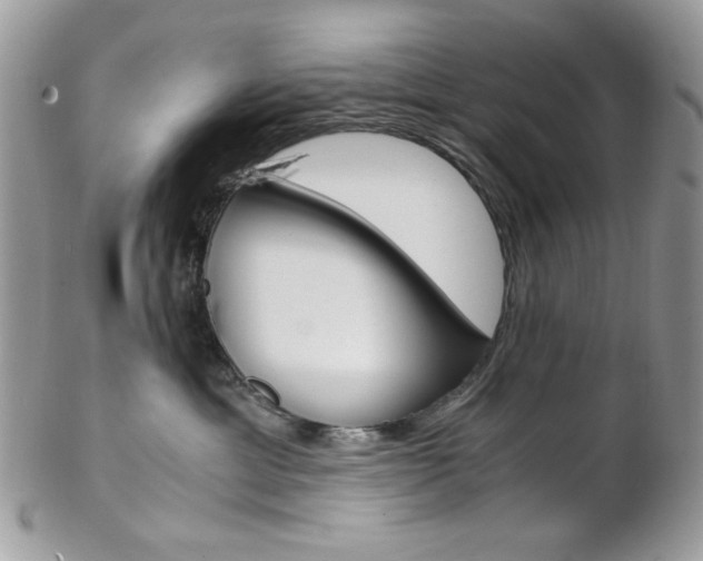 X0000102840429200808181029