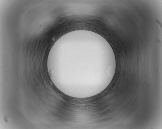 X0000102840431200808181029