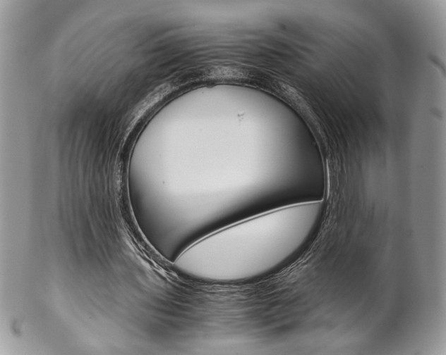 X0000102840435200808181028