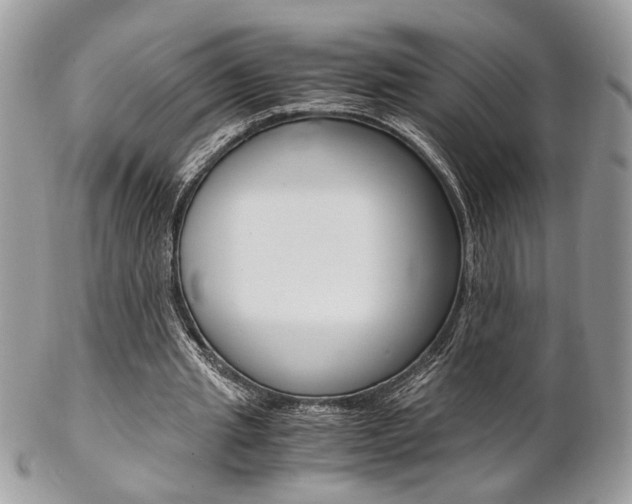 X0000102840437200808181028