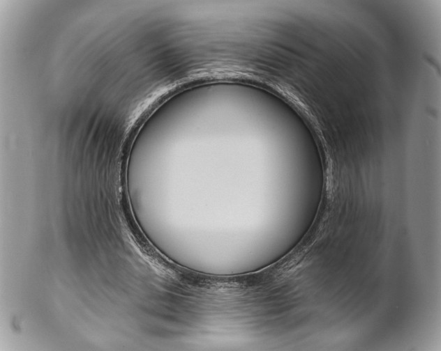 X0000102840438200808181028