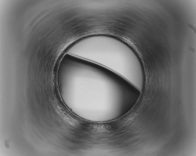 X0000102840439200808181028