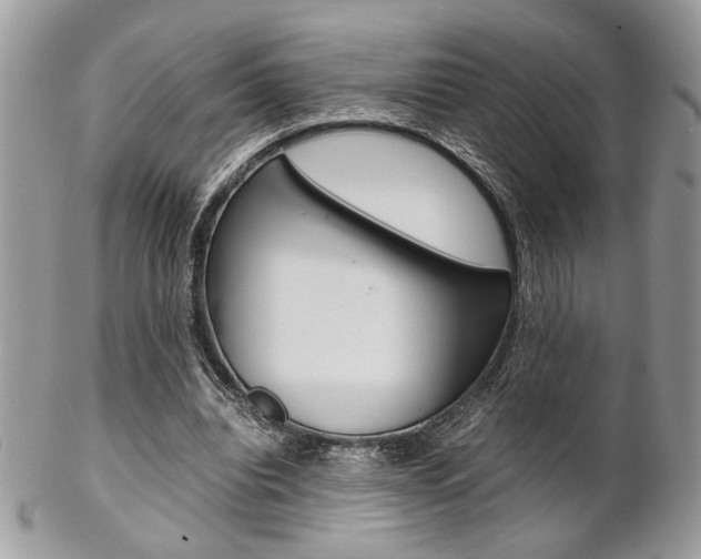 X0000102840440200808181028
