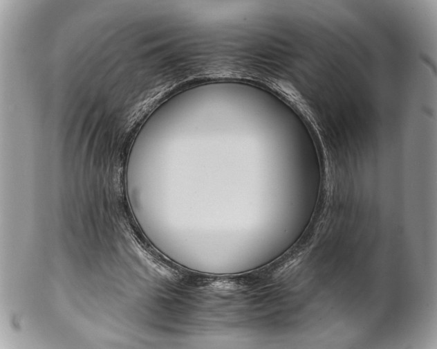 X0000102840441200808181028