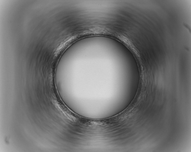 X0000102840442200808181028