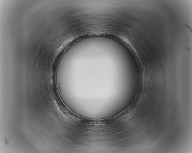 X0000102840443200808181028