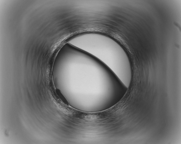 X0000102840444200808181028