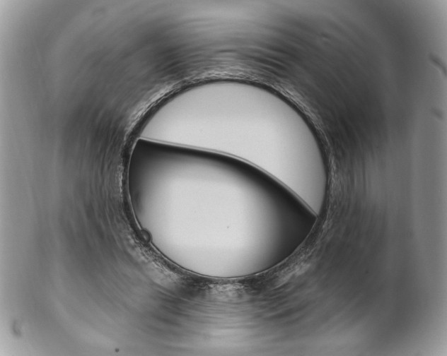 X0000102840446200808181028