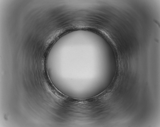 X0000102840447200808181028