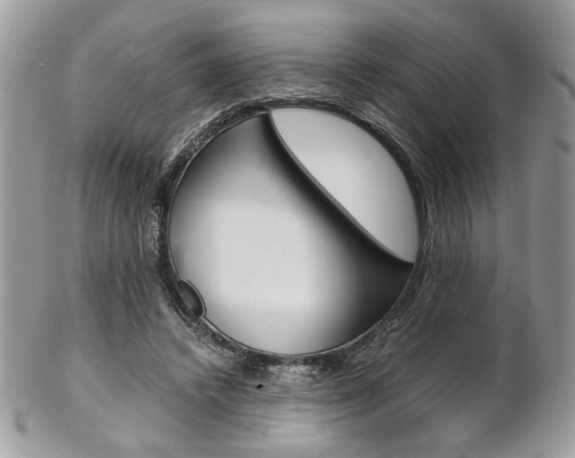 X0000102840448200808181029