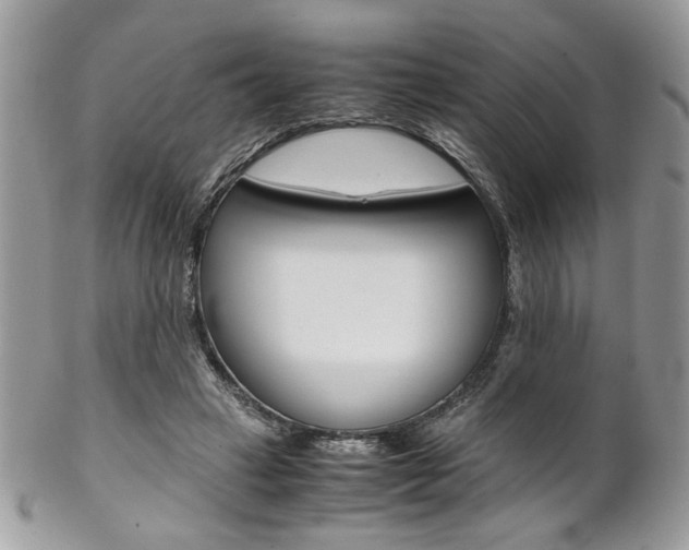 X0000102840449200808181029