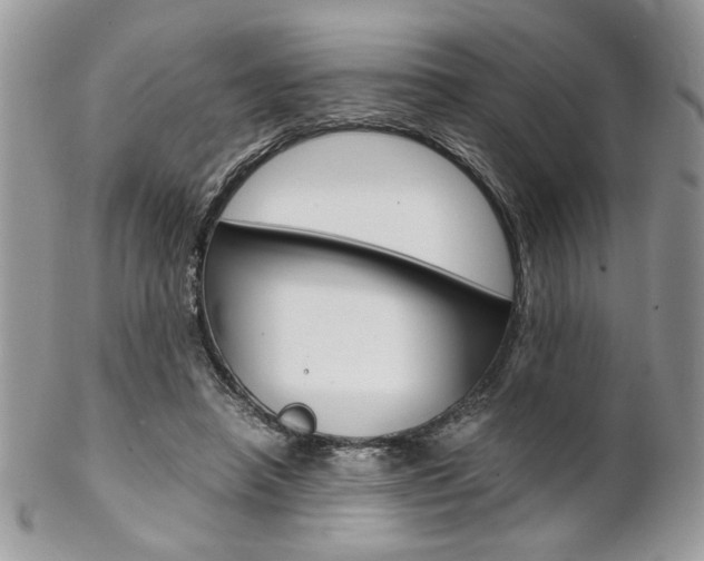 X0000102840450200808181029