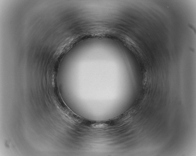 X0000102840452200808181029