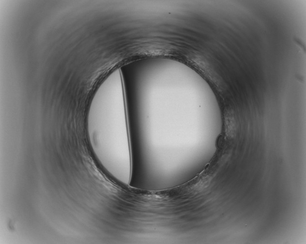 X0000102840453200808181029
