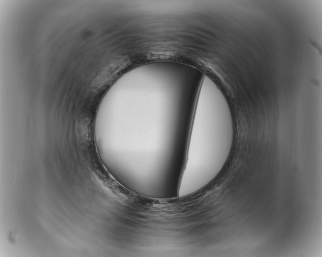 X0000102840455200808181029
