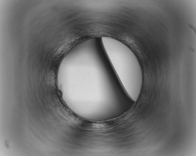 X0000102840457200808181029