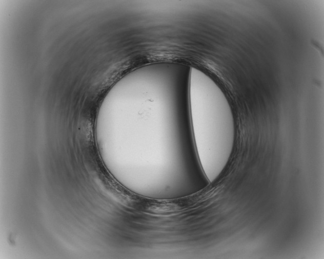 X0000102840459200808181029
