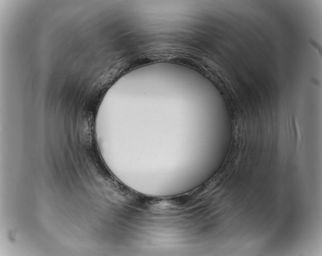 X0000102840460200808181029