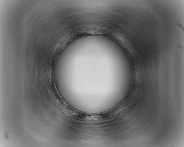 X0000102840461200808181029