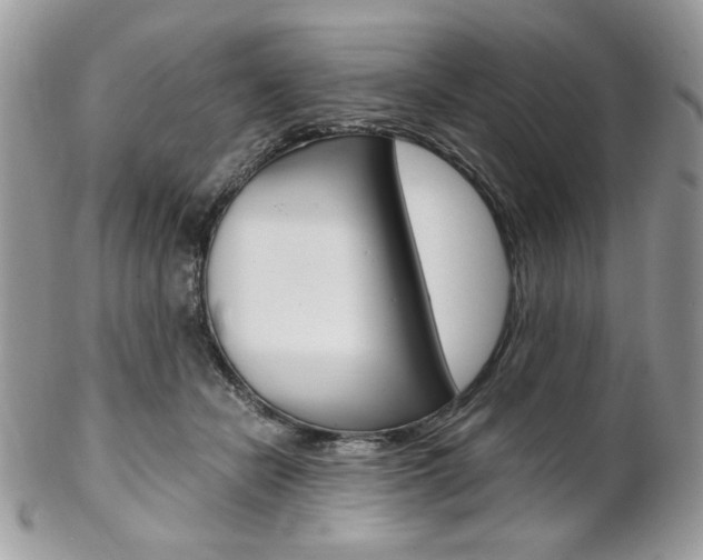 X0000102840462200808181029