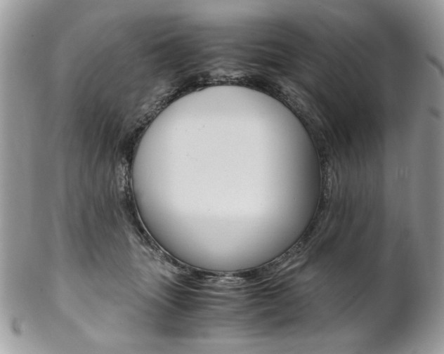 X0000102840463200808181029