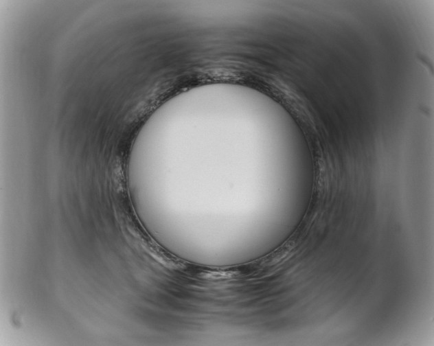 X0000102840465200808181029