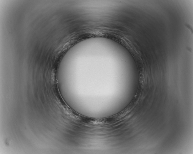 X0000102840466200808181029