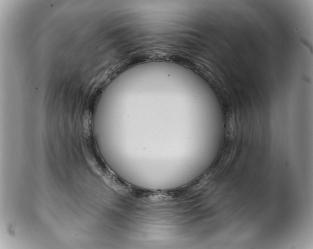 X0000102840468200808181029