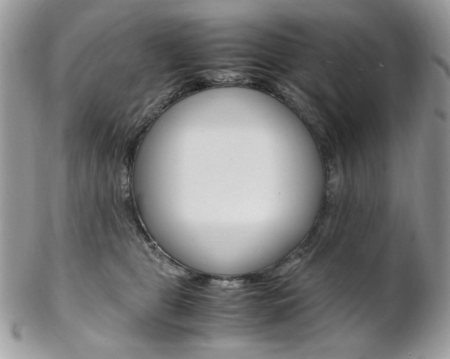 X0000102840469200808181029