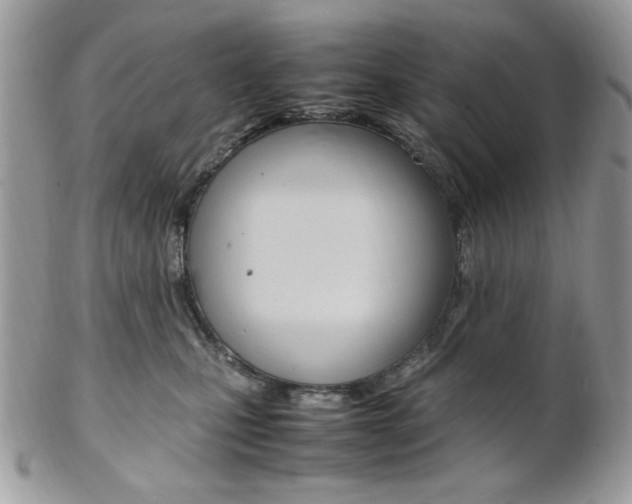 X0000102840471200808181029