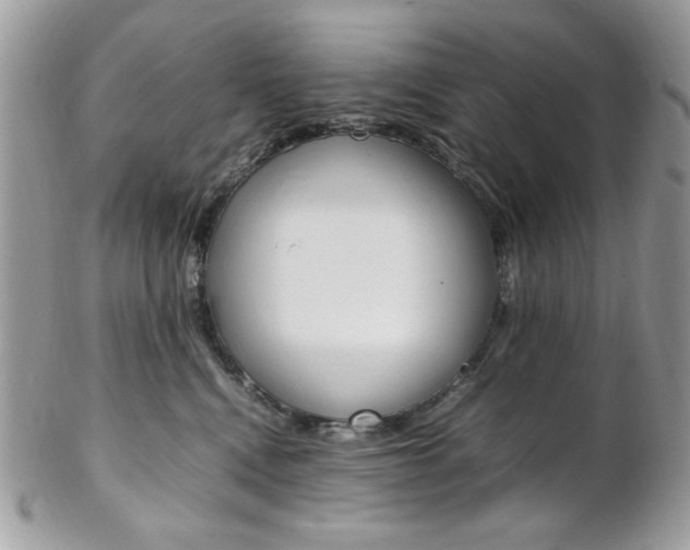 X0000102840472200808181029