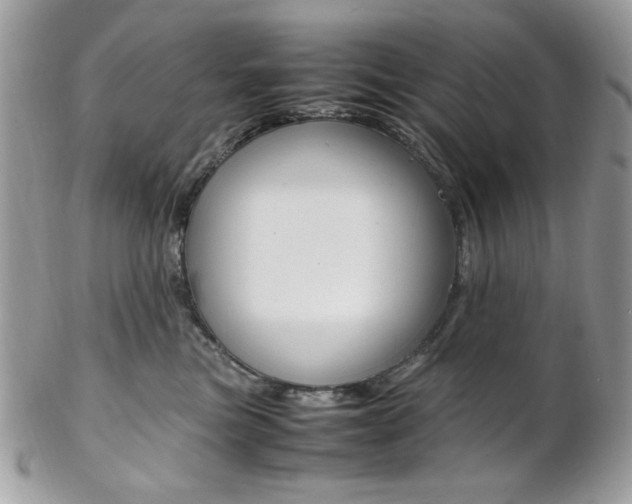 X0000102840473200808181029