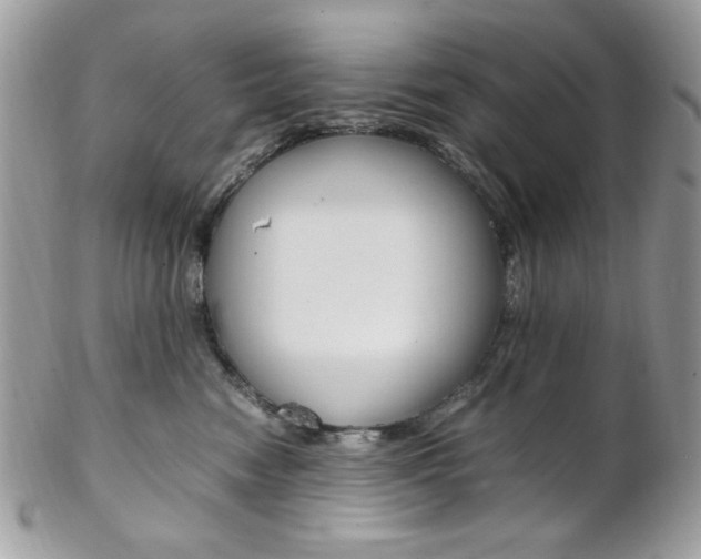 X0000102840474200808181029