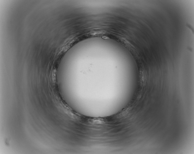 X0000102840475200808181029