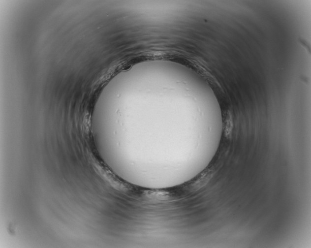 X0000102840476200808181029
