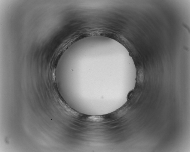 X0000102840477200808181029