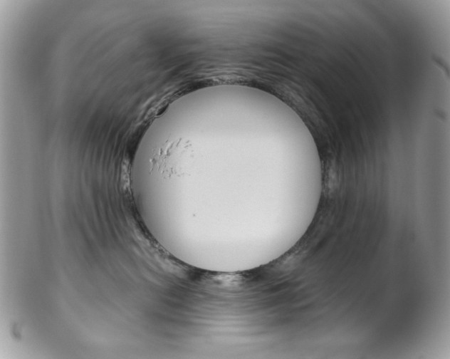 X0000102840478200808181029