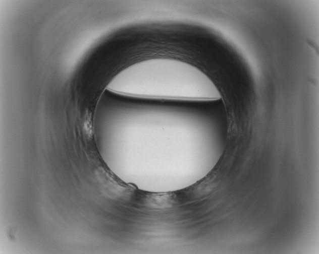 X0000102840479200808181029