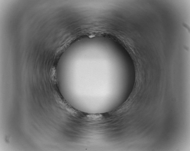 X0000102840480200808181029