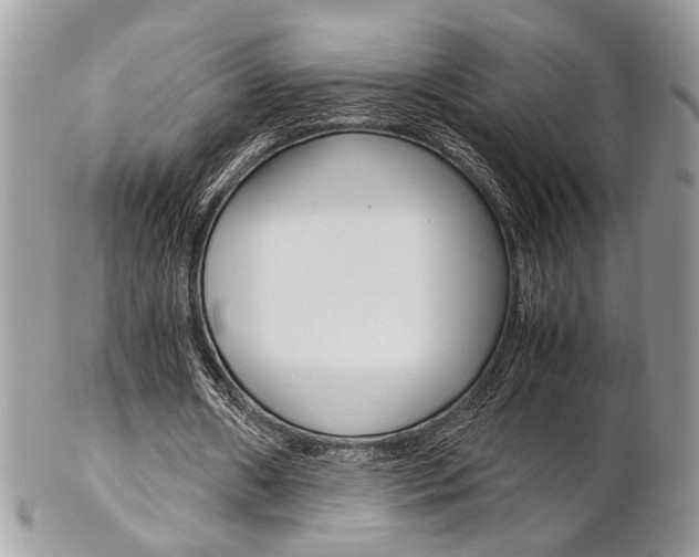 X0000102840482200808181028