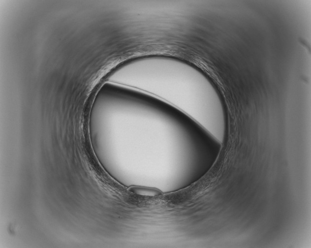 X0000102840483200808181028