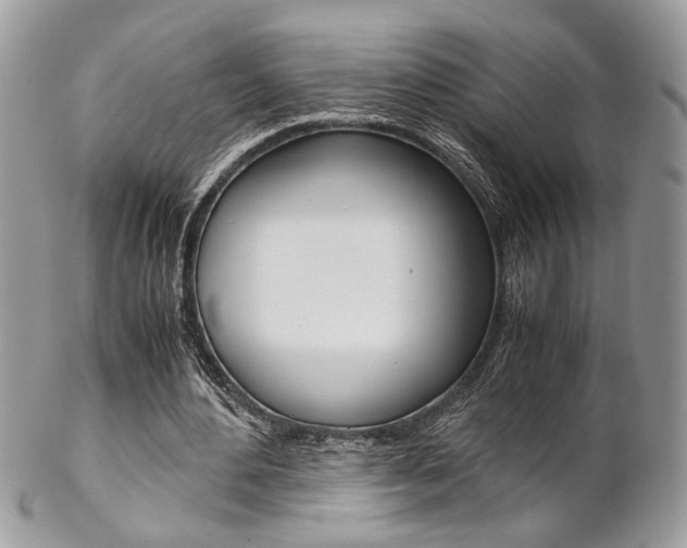 X0000102840484200808181028