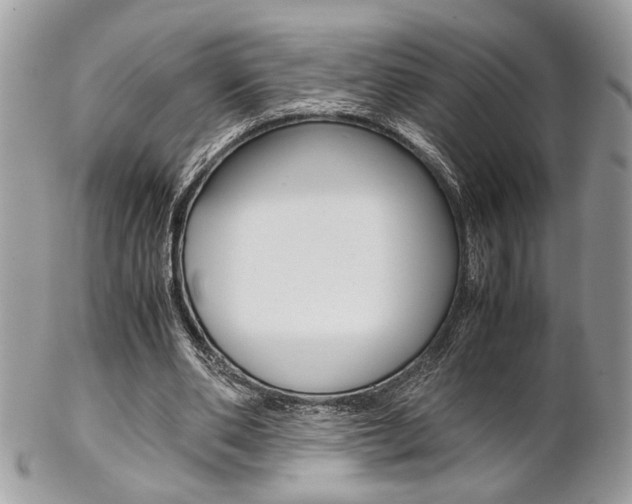 X0000102840486200808181028