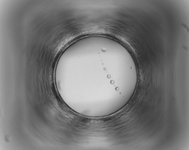 X0000102840487200808181028